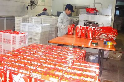 首批省示范！沛縣這5家農業產業化聯合體表現搶眼，資金證明助力發展