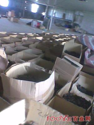 惠州專業二手設備回收 高價收購，信譽保障